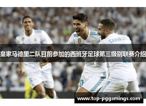 皇家马德里二队目前参加的西班牙足球第三级别联赛介绍