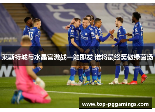 莱斯特城与水晶宫激战一触即发 谁将最终笑傲绿茵场 莱斯特城与水晶宫激战一触即发 谁将最终笑傲绿茵场