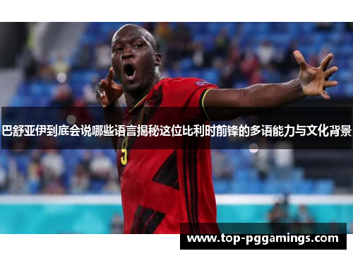 巴舒亚伊到底会说哪些语言揭秘这位比利时前锋的多语能力与文化背景