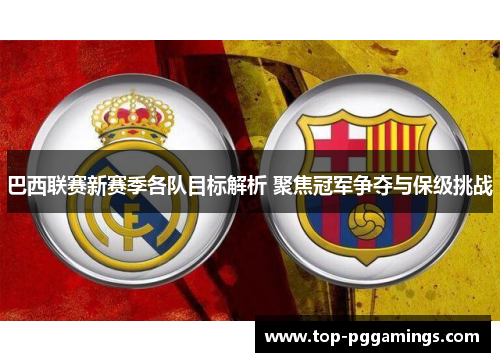 巴西联赛新赛季各队目标解析 聚焦冠军争夺与保级挑战